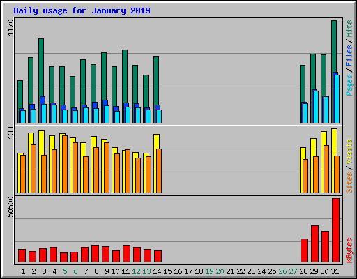 Daily usage for January 2019