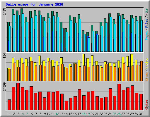 Daily usage for January 2020