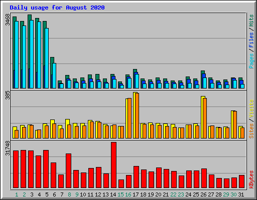 Daily usage for August 2020