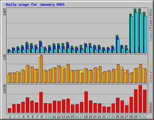 Daily usage for January 2021