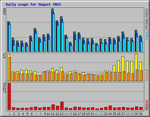 Daily usage for August 2021