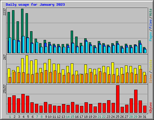 Daily usage for January 2023