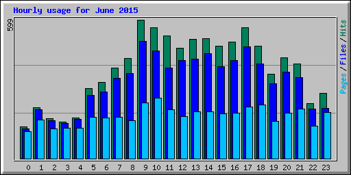 Hourly usage for June 2015
