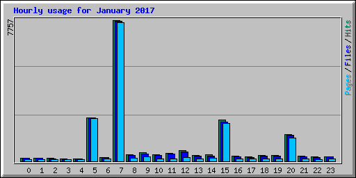 Hourly usage for January 2017