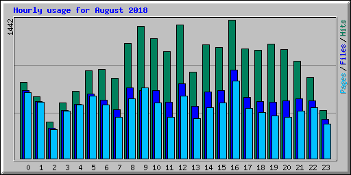 Hourly usage for August 2018