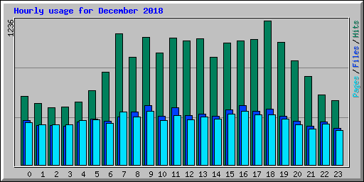 Hourly usage for December 2018