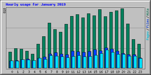 Hourly usage for January 2019