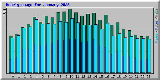 Hourly usage for January 2020