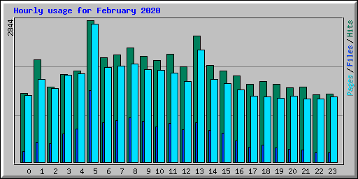 Hourly usage for February 2020