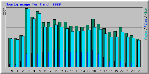 Hourly usage for March 2020