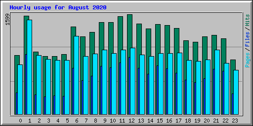 Hourly usage for August 2020