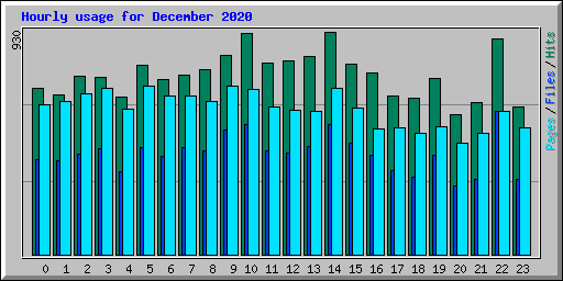Hourly usage for December 2020