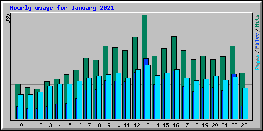 Hourly usage for January 2021