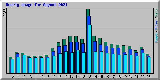 Hourly usage for August 2021