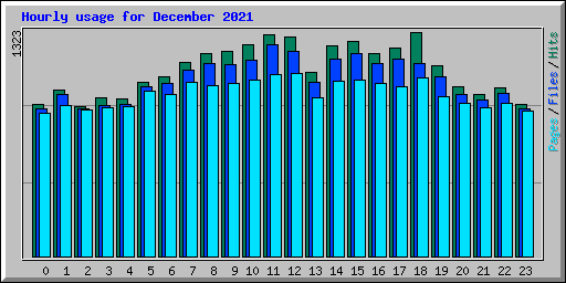 Hourly usage for December 2021