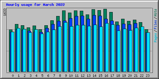 Hourly usage for March 2022