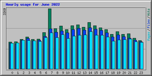 Hourly usage for June 2022