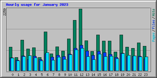 Hourly usage for January 2023