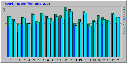 Hourly usage for June 2023