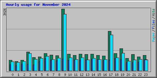 Hourly usage for November 2024
