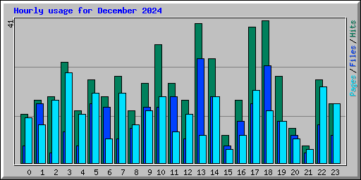 Hourly usage for December 2024